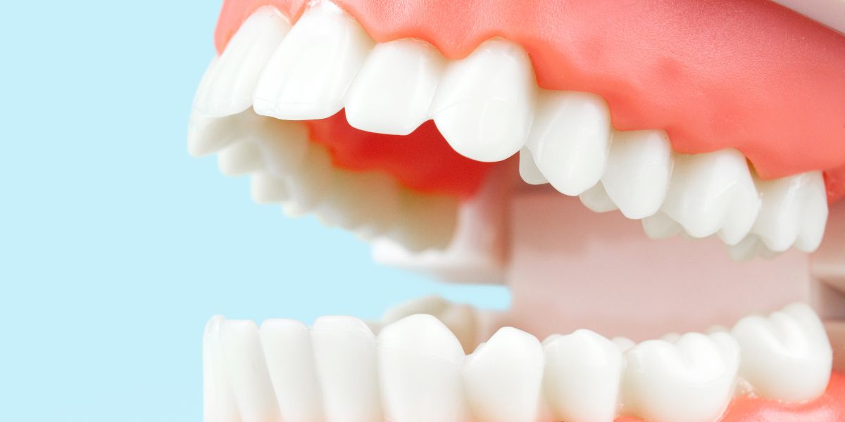 Top Tips for Maintaining Healthy Teeth and Gums